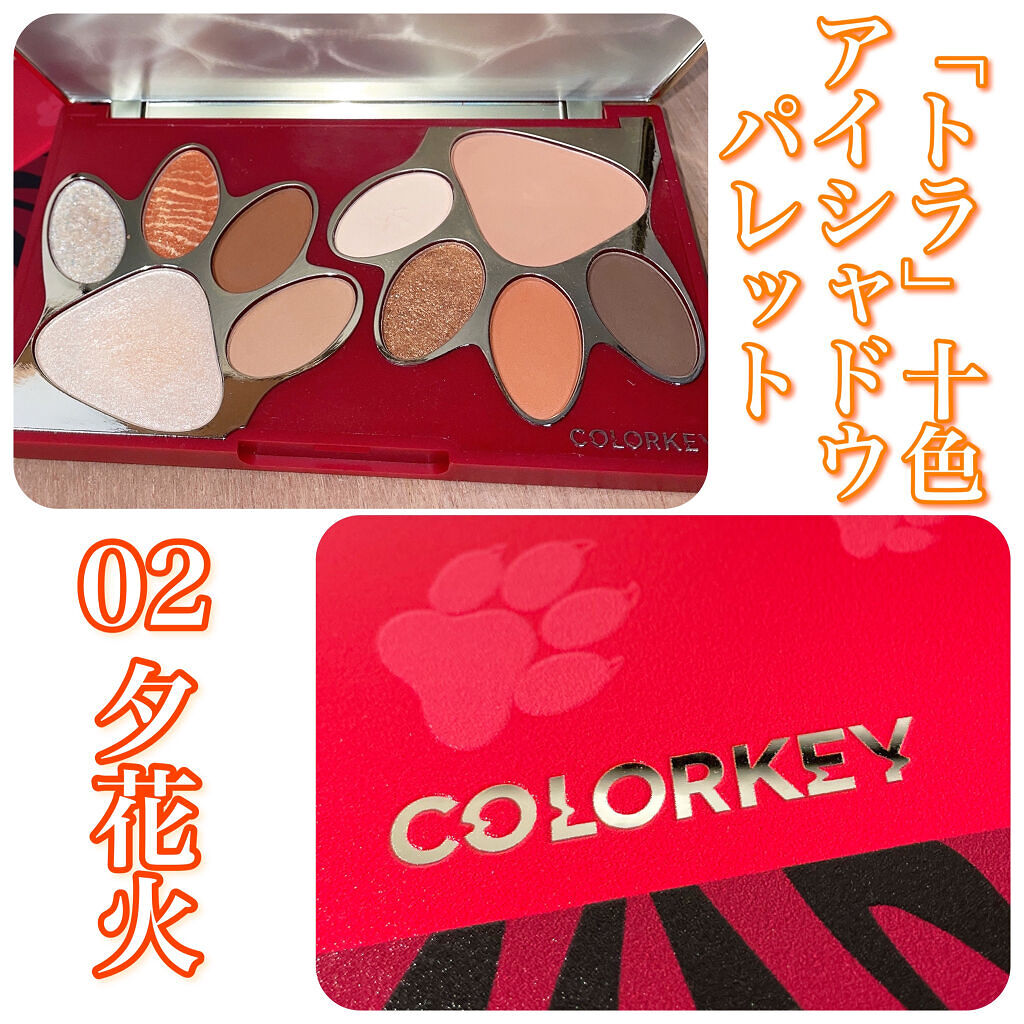 トラ十色アイシャドウパレット/COLORKEY/アイシャドウパレットを使ったクチコミ（1枚目）