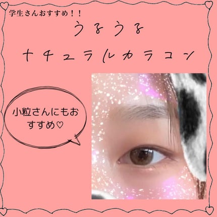 を使ったクチコミ(1枚目)