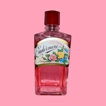 オイデルミン(N)/SHISEIDO/化粧水を使ったクチコミ(1枚目)