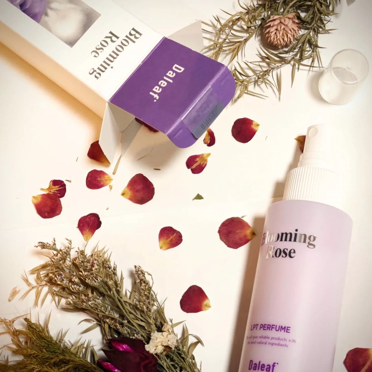 パフュームヘアパックインミスト Pink Breeze/Daleaf/アウトバストリートメントを使ったクチコミ(1枚目)