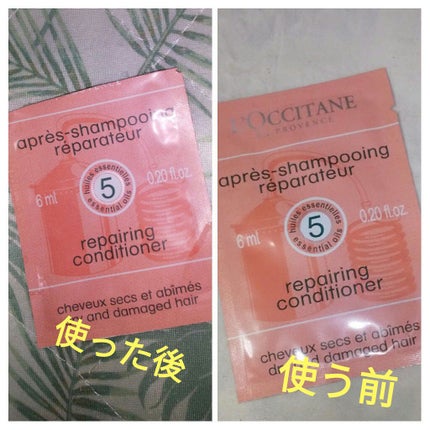 ファイブハーブスリペアリングシャンプー/コンディショナー/L'OCCITANE/シャンプー・コンディショナーを使ったクチコミ(1枚目)