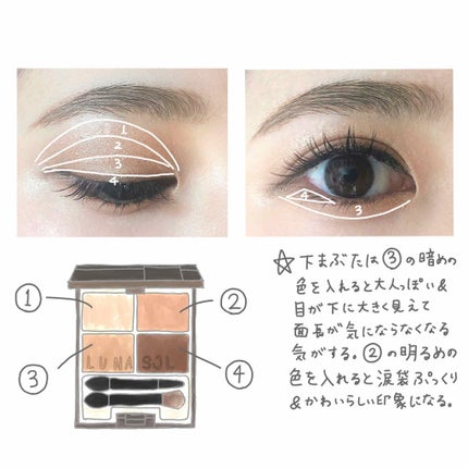 スキンモデリングアイズ/LUNASOL/アイシャドウパレットを使ったクチコミ(2枚目)
