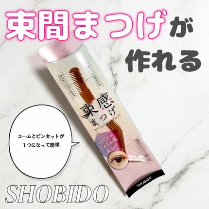 束感まつげコーミングピンセット/SHOBIDO/その他化粧小物を使ったクチコミ(1枚目)