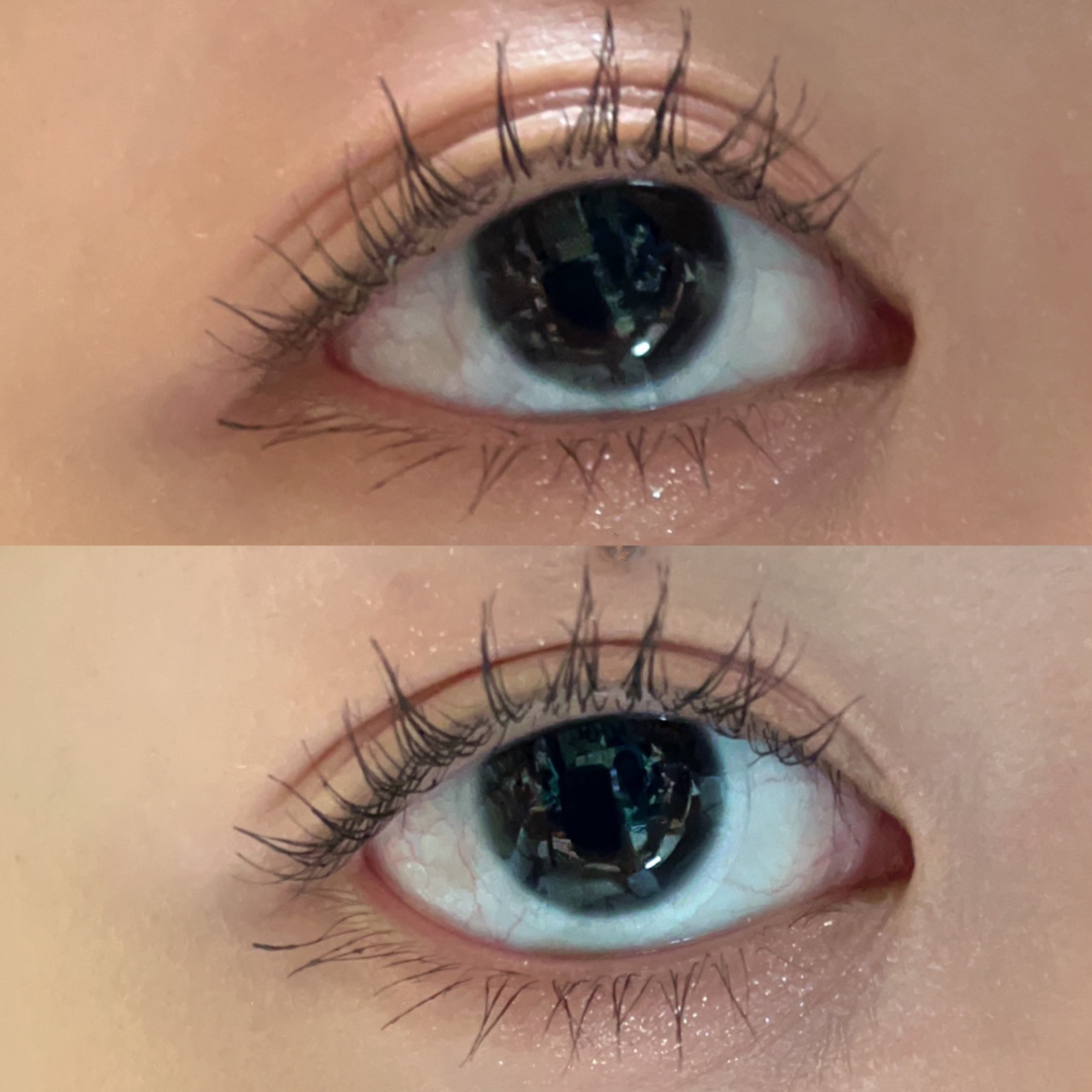 ハイパーリフトマスカラ/D-UP/マスカラを使ったクチコミ（3枚目）