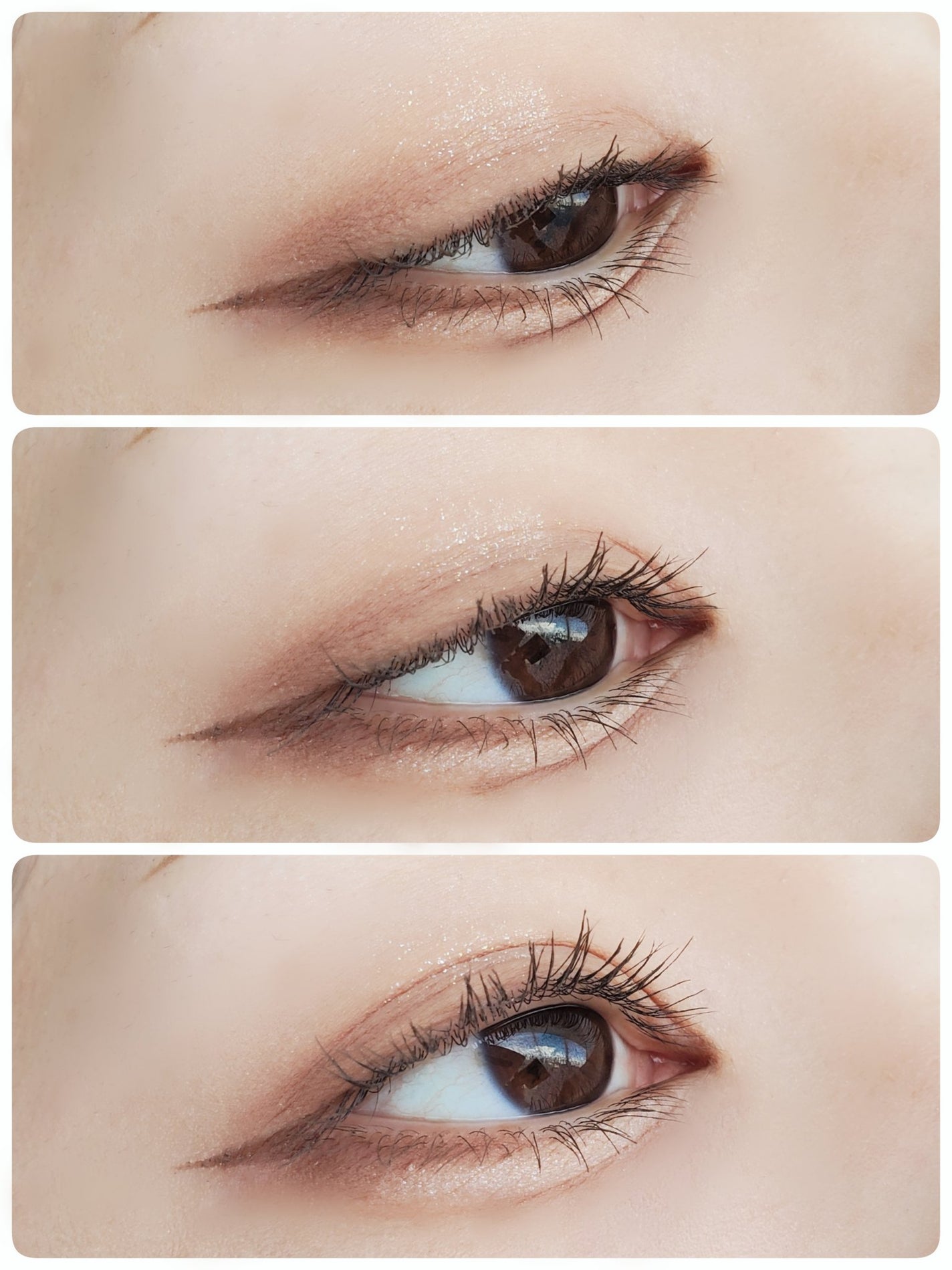 THE アイパレR/b idol/アイシャドウパレットを使ったクチコミ(1枚目)