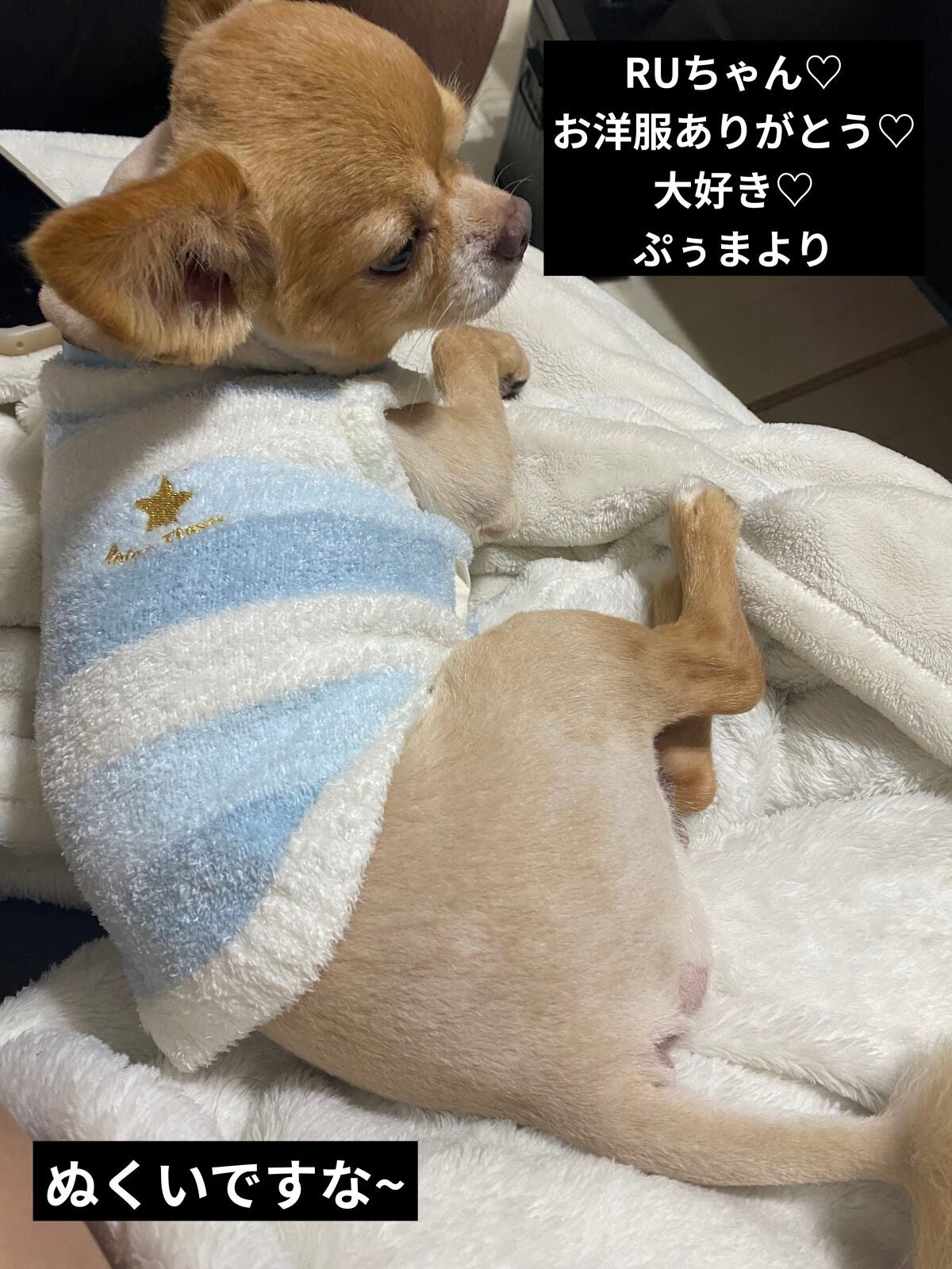 カラフルネイルズ/キャンメイク/マニキュアを使ったクチコミ(8枚目)