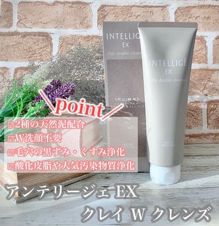 クレイ W クレンズ/アンテリージェEX/クレンジングクリームを使ったクチコミ(1枚目)
