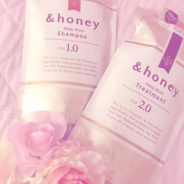 ディープモイスト シャンプー1.0／ヘアトリートメント2.0/&honey/シャンプー・コンディショナーを使ったクチコミ（1枚目）