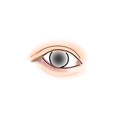 gemini eye palette/la peau de gem./アイシャドウパレットを使ったクチコミ（1枚目）