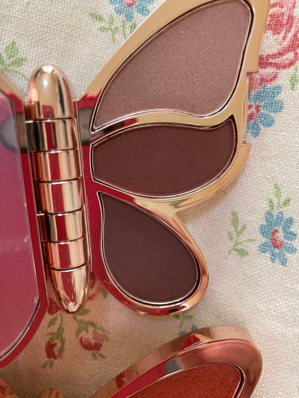 バタフライアイシャドウパレット/AGAG/アイシャドウパレットを使ったクチコミ(9枚目)