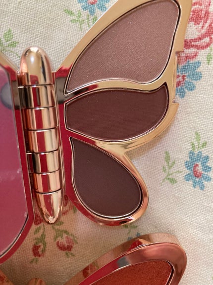 バタフライアイシャドウパレット/AGAG/アイシャドウパレットを使ったクチコミ(9枚目)