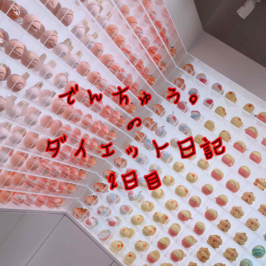 でんちゅう。 on LIPS 「🏃♀️ダイエット日記2日目🏃♀️📌起床時間5:00📌食事の..」(1枚目)