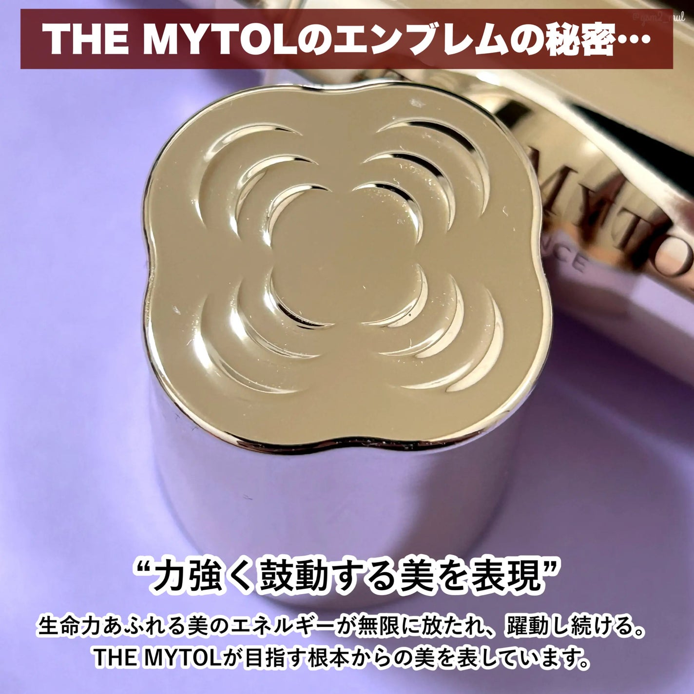 ザ マイトル エッセンス/THE MYTOL/ブースター・導入液を使ったクチコミ(5枚目)