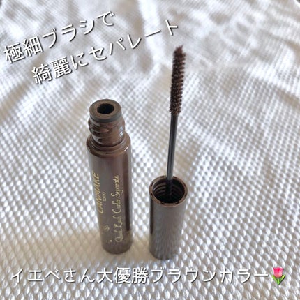 クイックラッシュカーラーセパレート 03 ブラウン/キャンメイク/マスカラを使ったクチコミ(1枚目)
