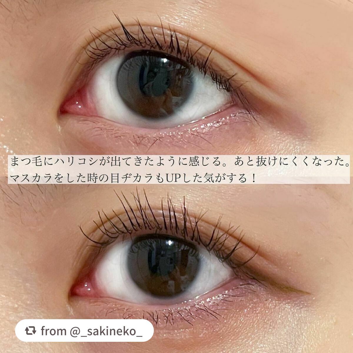 スカルプD ボーテ ピュアフリーアイラッシュセラム プレミアム/アンファー(スカルプD)/まつげ美容液を使ったクチコミ(4枚目)