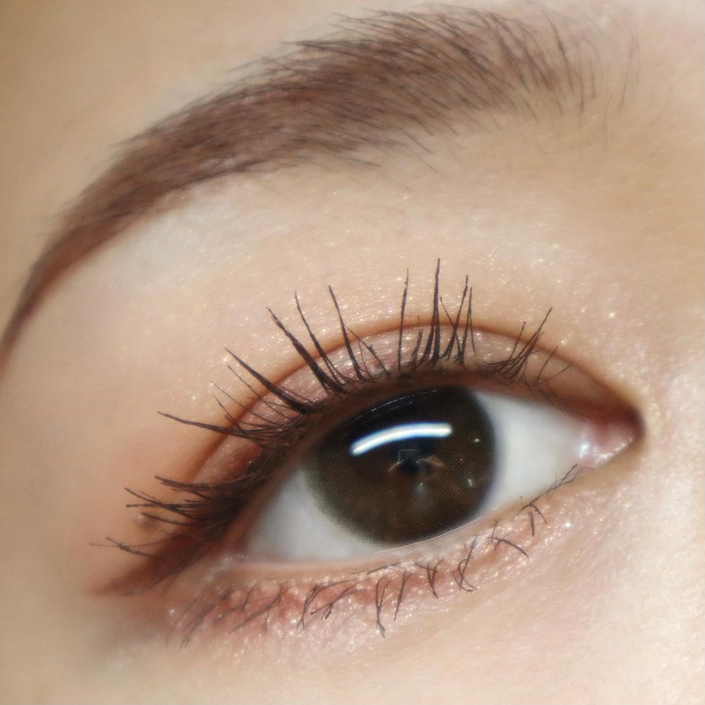 シルキースフレアイズ/キャンメイク/アイシャドウパレットを使ったクチコミ(7枚目)