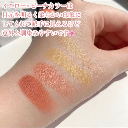 レ キャトル オンブル/CHANEL/アイシャドウパレットを使ったクチコミ(6枚目)