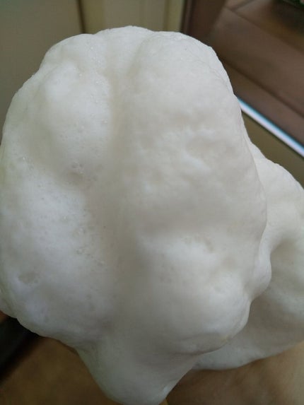 スクラビング マッド ウォッシュ/KANEBO/洗顔フォームを使ったクチコミ(8枚目)