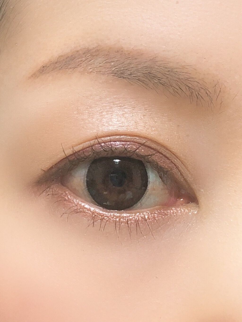 ミネラルクラッシィシャドー ロイヤルブラウン/エトヴォス/アイシャドウパレットを使ったクチコミ（3枚目）