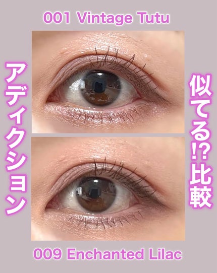 アディクション ザ アイシャドウ パレット +/ADDICTION/アイシャドウパレットを使ったクチコミ(1枚目)