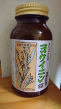 お肌の薬ヨクイニン錠（医薬品） / 新日本製薬