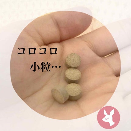 食べてもDiet/井藤漢方製薬/ボディサプリメントを使ったクチコミ(3枚目)