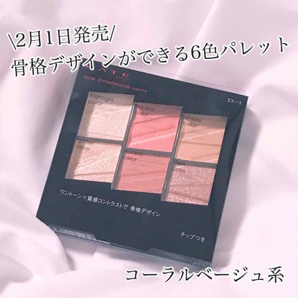 トーンディメンショナルパレット/KATE/メイクアップキットを使ったクチコミ(1枚目)