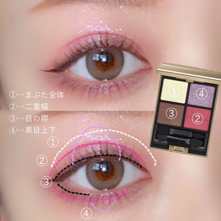 アイカラーレーション/LUNASOL/アイシャドウパレットを使ったクチコミ(2枚目)