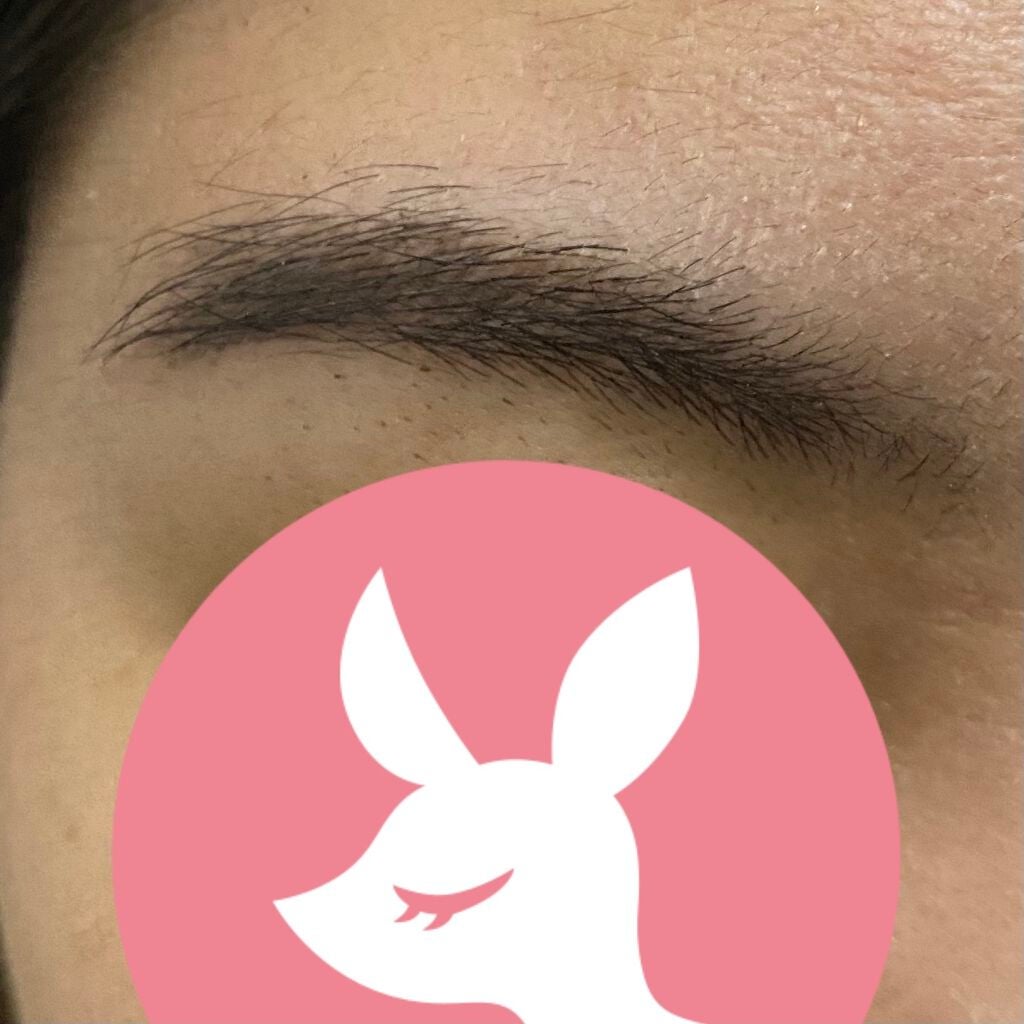 エテュセ アイエディション(ブロウライナー)/ettusais/アイブロウペンシルを使ったクチコミ(3枚目)