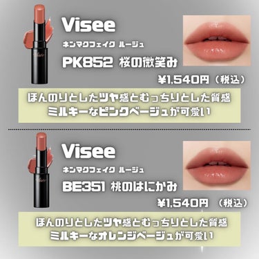 ネンマクフェイク ルージュ/Visée/口紅を使ったクチコミ（2枚目）