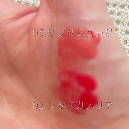 ナチュラルブルームリップオイルセラム 3色セット/PINATE/リップグロスを使ったクチコミ(7枚目)