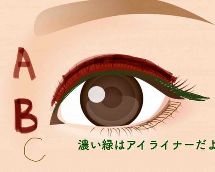 ロング&カールマスカラ アドバンストフィルム/ヒロインメイク/マスカラを使ったクチコミ(3枚目)