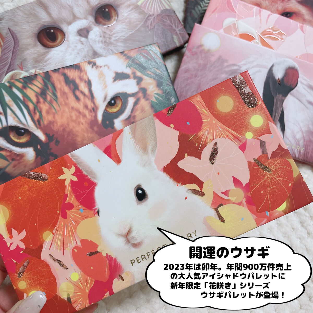 エクスプローラ12色 動物アイシャドウパレット/PERFECT DIARY/アイシャドウパレットを使ったクチコミ（2枚目）