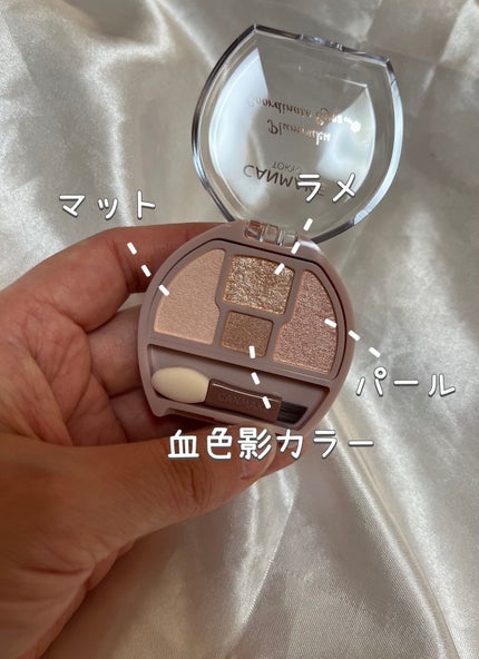 プランぷくコーデアイズ/キャンメイク/パウダーアイシャドウを使ったクチコミ(2枚目)