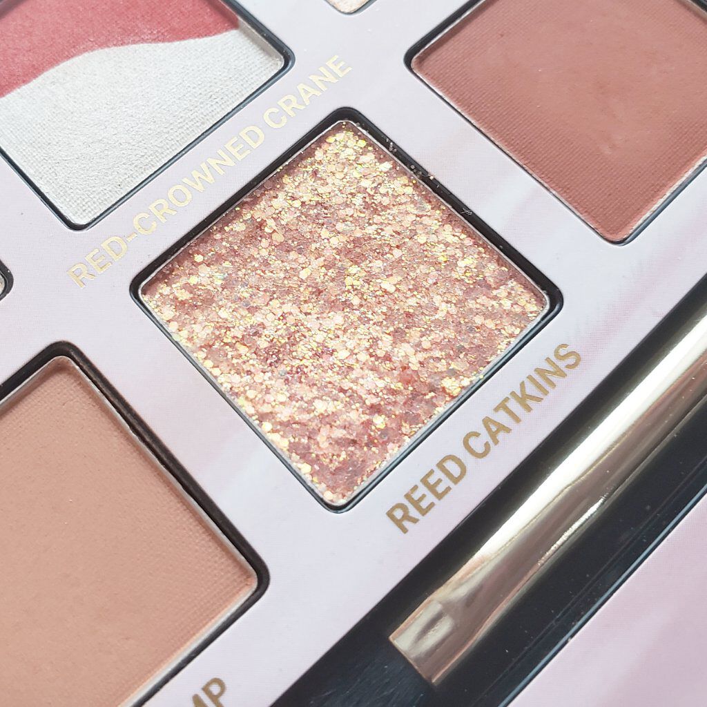 エクスプローラ12色 動物アイシャドウパレット タンチョウ鶴/PERFECT DIARY/アイシャドウパレットを使ったクチコミ（3枚目）