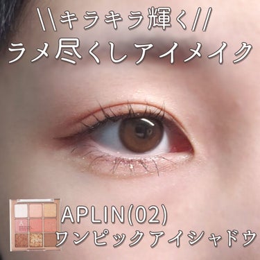 ワンピックアイシャドウパレット/APLIN/アイシャドウパレットを使ったクチコミ（1枚目）