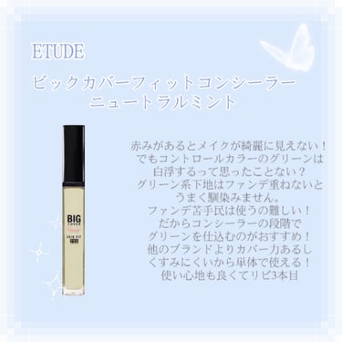 ビッグカバーフィットコンシーラー ニュートラルミント/ETUDE/リキッドコンシーラーを使ったクチコミ（3枚目）