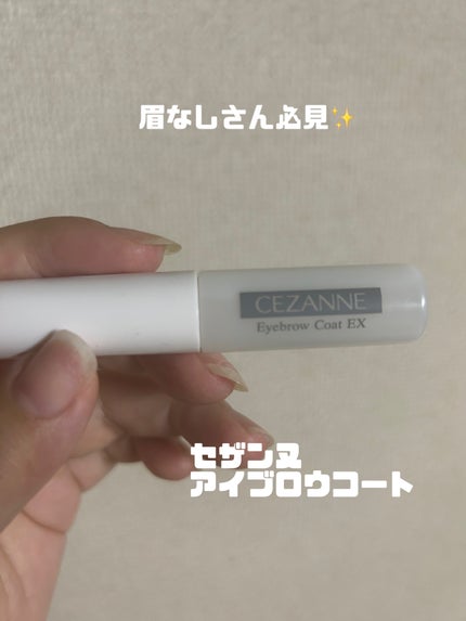 アイブロウコートEX/CEZANNE/アイブロウコートを使ったクチコミ(1枚目)