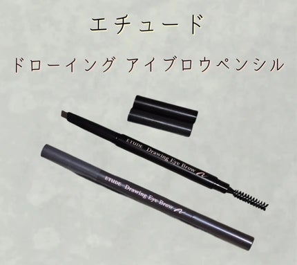 ドローイング アイブロウ ペンシル グレーブラウン/ETUDE/アイブロウペンシルを使ったクチコミ(1枚目)