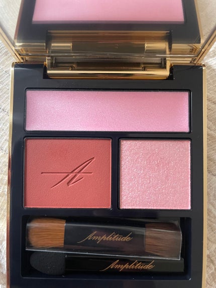 コンスピキュアス アイズ/Amplitude/アイシャドウパレットを使ったクチコミ(3枚目)