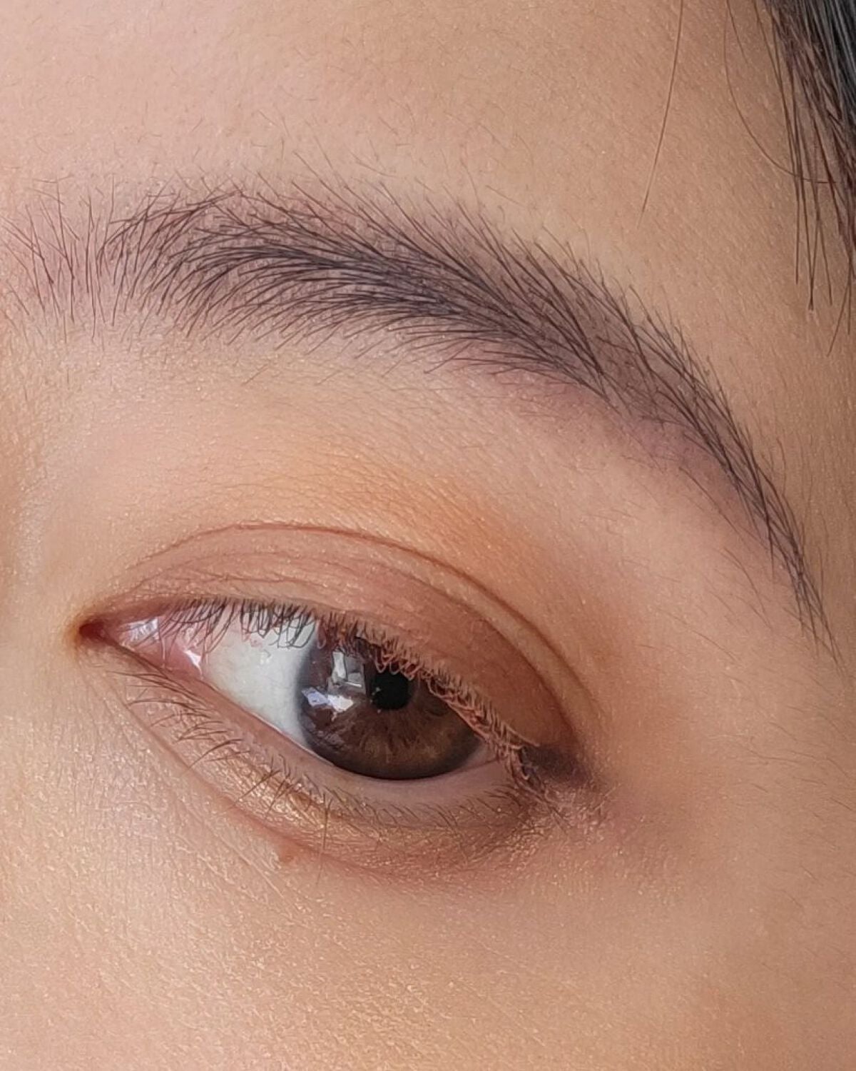 ニューデップスアイシャドウパレット/hince/アイシャドウパレットを使ったクチコミ(5枚目)