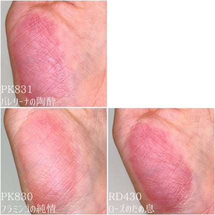 ネンマクフェイク リキッド/Visée/口紅を使ったクチコミ(5枚目)