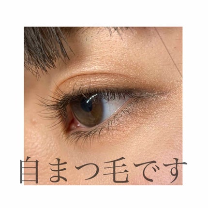 DHCアイラッシュトニック/DHC/まつげ美容液を使ったクチコミ(1枚目)