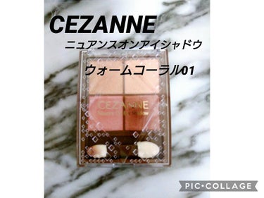 ニュアンスオンアイシャドウ/CEZANNE/パウダーアイシャドウを使ったクチコミ（1枚目）