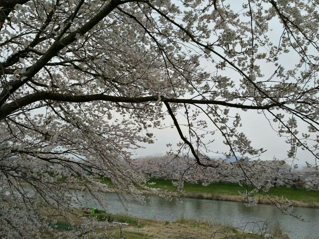 ザ ネイルポリッシュ/ADDICTION/マニキュアを使ったクチコミ（3枚目）