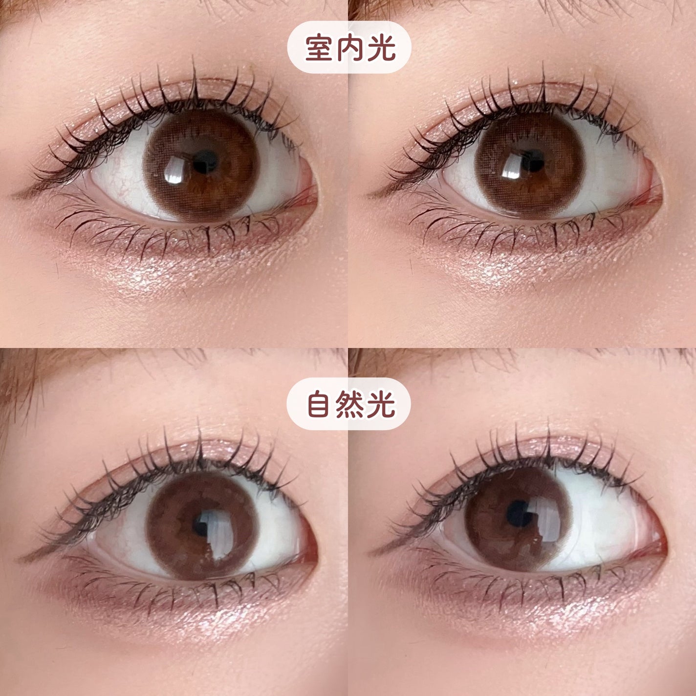 エバーカラーワンデー ナチュラル/エバーカラー/ワンデー(1DAY)カラコンを使ったクチコミ(6枚目)