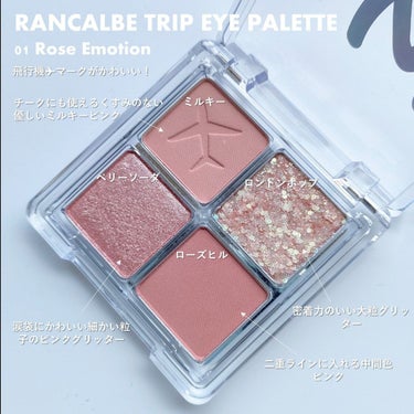 RANCABLE TRIP EYE PALETTE/IBIM/アイシャドウパレットを使ったクチコミ（2枚目）