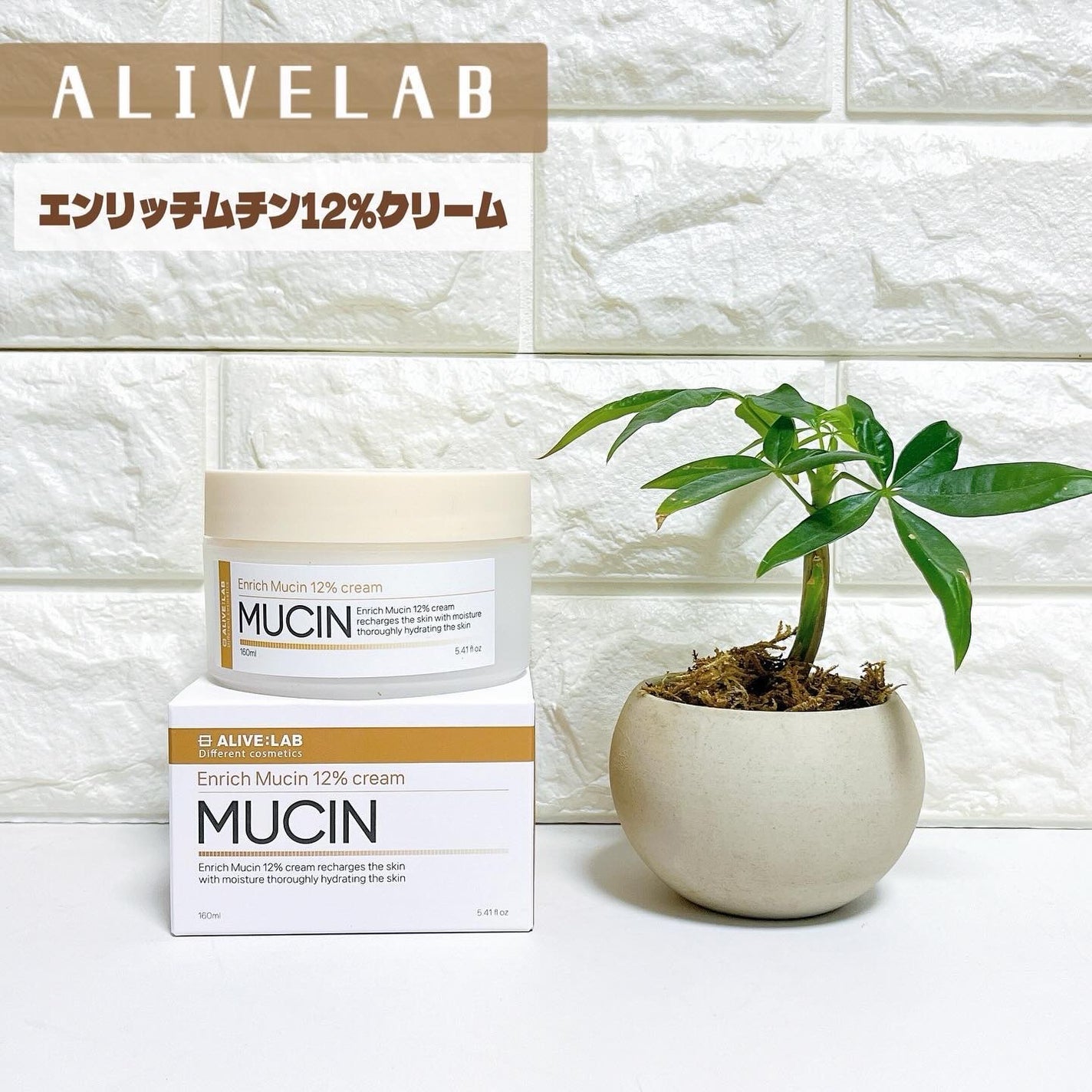 kchan on LIPS 「。・:+°。#PR・:+°。@alivelab_jp@aliv..」(1枚目)