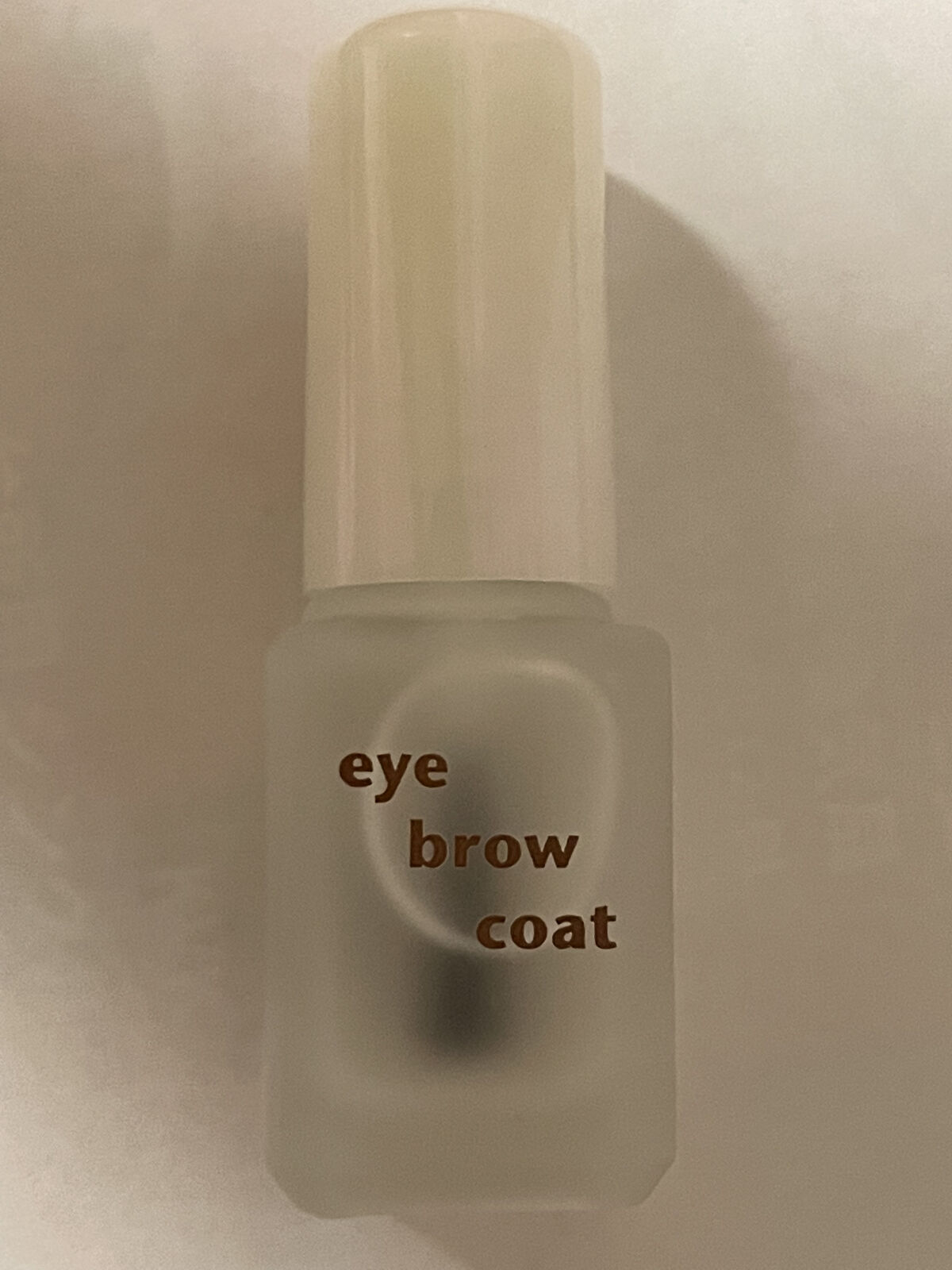 エバビレーナ アイブローコート/DAISO/アイブロウコートを使ったクチコミ（1枚目）