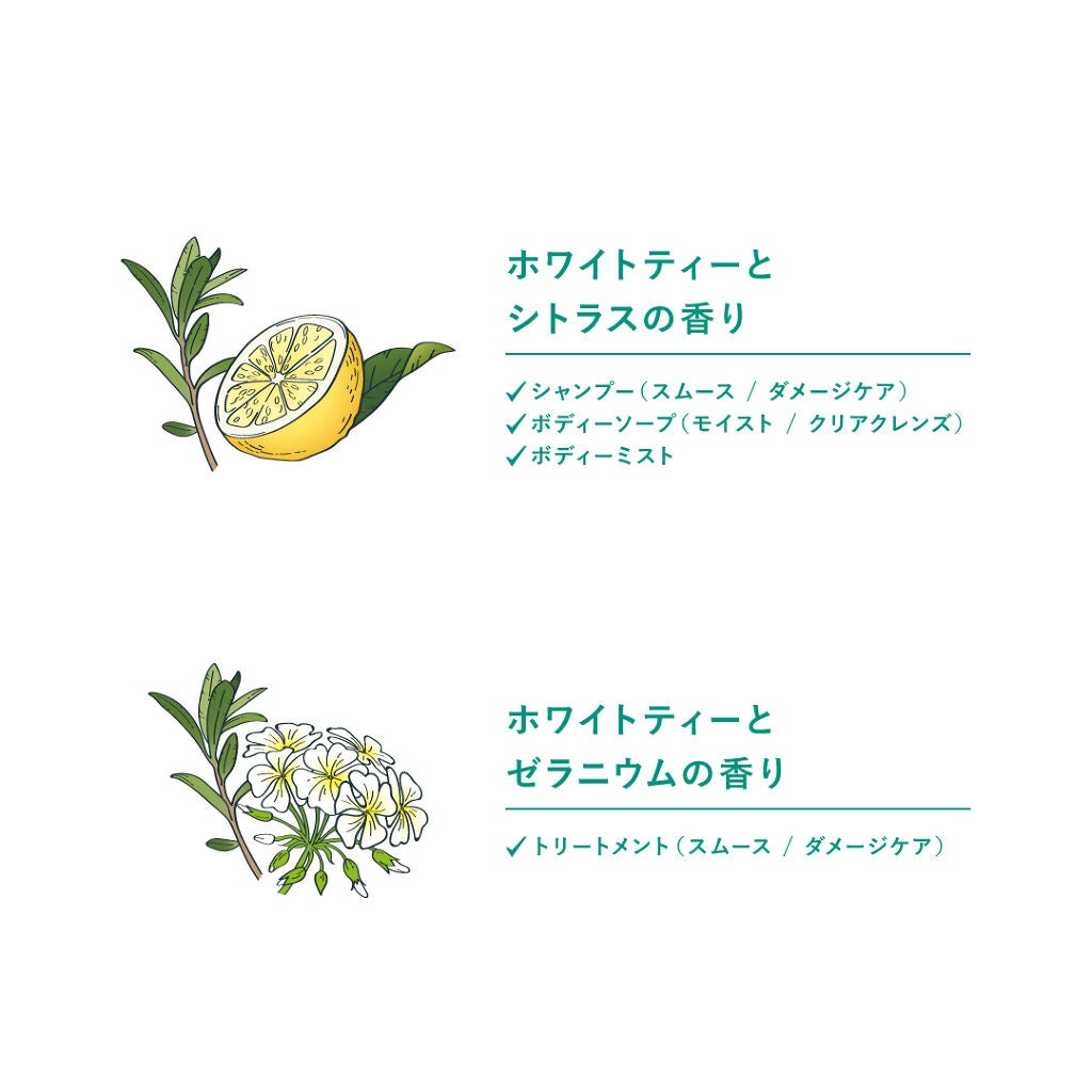 ボタニカルリフレッシュシャンプー(ダメージケア)/BOTANIST/シャンプー・コンディショナーを使ったクチコミ(2枚目)